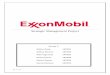 Section a Strategy Project Group 7 Exxon Mobil