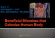 Unit 4 - Beneficial Microbes Colonizing Human Body