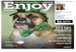 Enjoy Magazine - March 2015