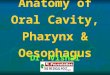 1 Anatomy of Oral Cavity Pharynx Oesophagus