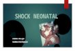 Shock Neonatal