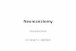 Neuroanatomy Introduction
