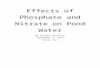 Effects of Phosphate and Nitrate on Pond Water