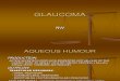 GLAUCOMA (NW).ppt