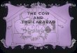 The Cow and the Carabao (Northern Luzon)