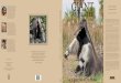 Book Giant Anteater