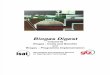 Biogas Digest Volume 3