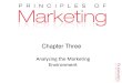 Chap3-Analyzing the Marketing Environment