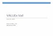 VALUEx Vail 2014 Visa Presentation
