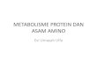 Pencernaan Protein Dan Penyerapan Asam Amino