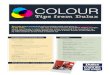 Dulux Colour Tips_web