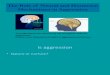 Neural and Hormonal Explanation of Aggression L4