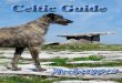 celtic guide