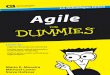 Agile for Dummies eBook