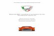 Mex Guerrero-Hernandez-Quesada Mastretta MXT- Creating an Ecosystem for the First Mexican Sports Car