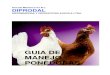 Manual Gallinas Ponedoras