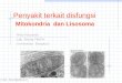 Penyakit Terkait Mitokondria Dan Lisosoma