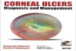 Corneal ulcer diagnosis and management