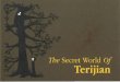 Crimethinc the Secret World of Terijian