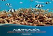 Acidification Report 2009 Spa