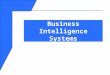 Understanding Business Intelligence Systems Study Guide