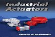 Industrial Actuators
