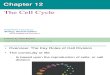 Chapter 12 - The Cell Cycle