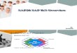 01 - SAP Overview