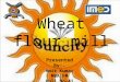 Wheat Flour Mill Business Plan Presentation