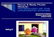 Renal Physiology Lecture 2012