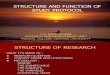 Structure and Function of Study Protocol