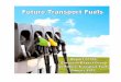 2011 01 25 Future Transport Fuels Report