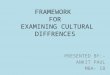 Framework on cultural differences