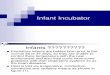 Infant Incubator 1