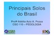 Principais Solos Do Brasil