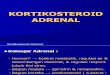 Kortikosteroid Adrenal i New