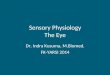 Sensory Physiology the Eye1