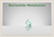 5-1 Necleotide Metabolism (Purine) (2)