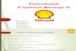 Shell International Marketing.pptx