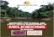 Guidelines of Clinical & Public Health Management of Melioidosis in Pahang