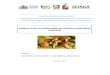 Manual Produccion de Hongos Comestibles - Biodeterioro