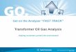Gas Chromatography for the Energy Industry