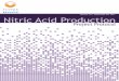 Nitric Acid Production Project Protocol V2.0