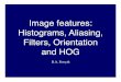 Alia Sing Filters Orientation Hog