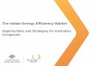 Energy Efficiency Opportunities in India Presentation