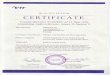 CE Certificate Planmeca 1