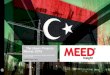 FINAL Libya Report