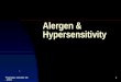 alergen dan hipersensitif