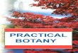 Practical Botany