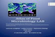 Atlas Food Microbiology